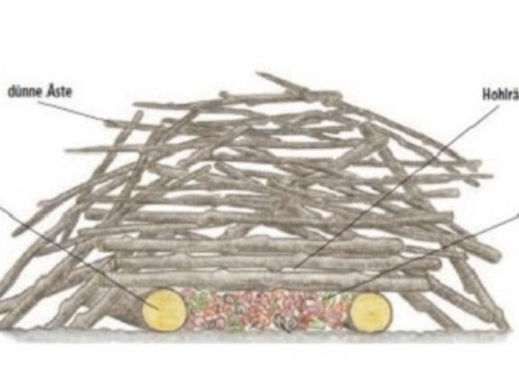 Beschrieb von Aufzuchtkammer