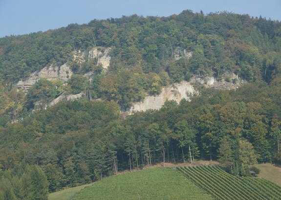 Fels- und Brockenschutthalde Rütifels